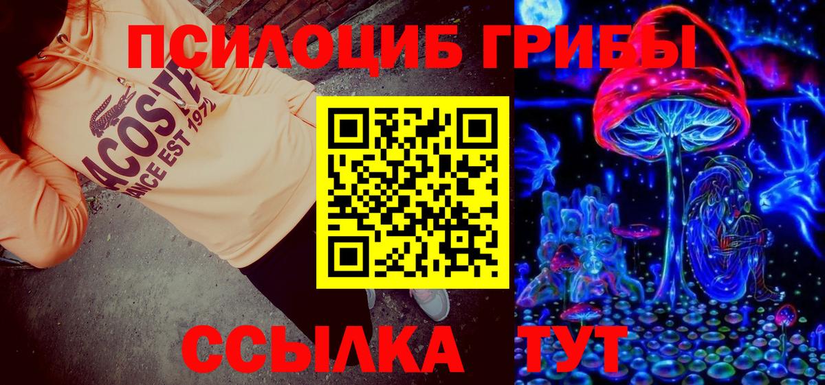 Псилоцибиновые грибы Magic Shrooms  Вход с VPN  Галлюциногенные грибы Magic Shrooms  Камышин 