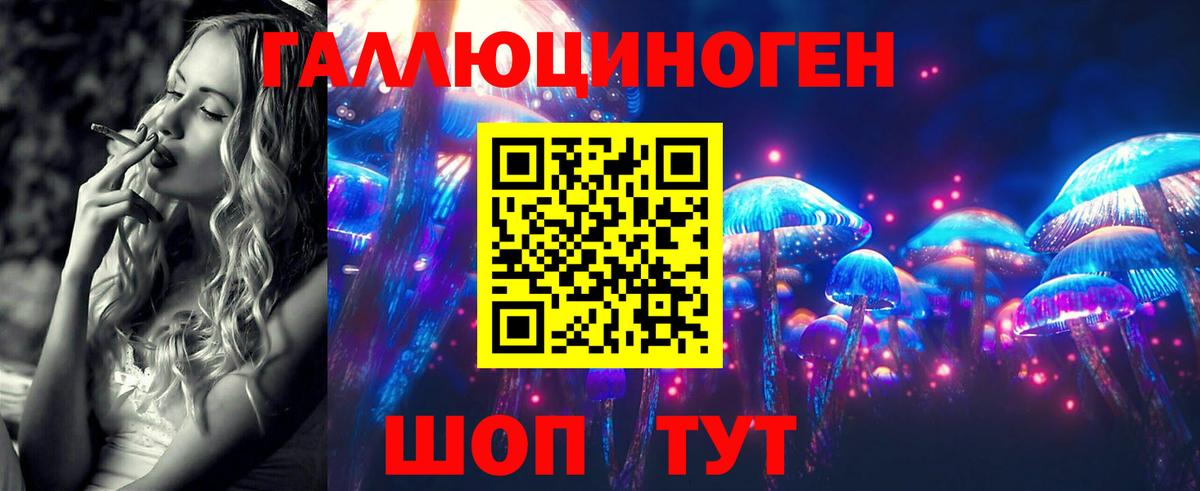 Галлюциногенные грибы мухоморы Камышин
